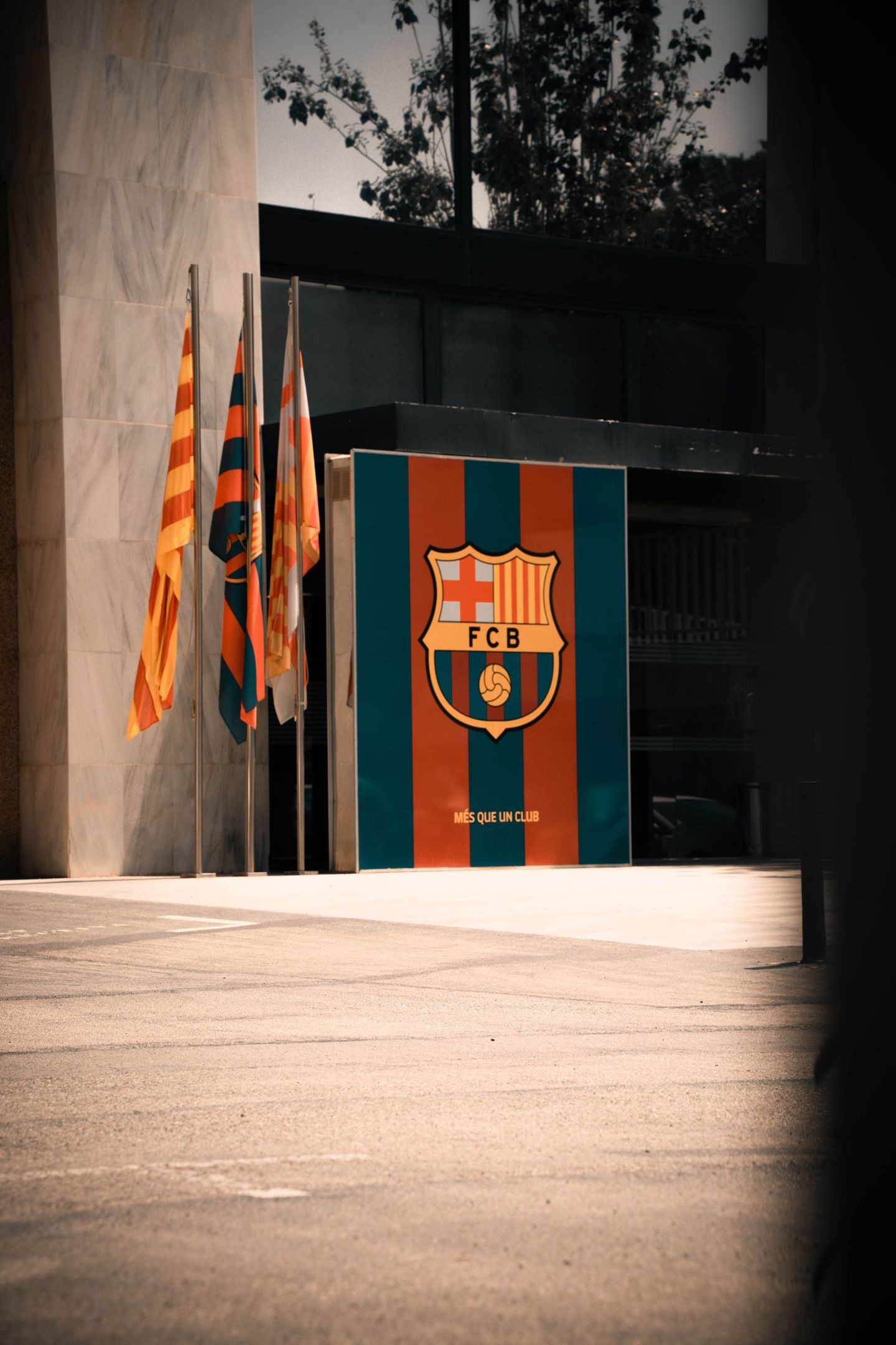 Con el sello de campeón: los jugadores que ganaron la Copa del Mundo y juegan en el Barcelona esta temporada Con el sello de campeón: los jugadores que ganaron la Copa del Mundo y juegan en el Barcelona esta temporada